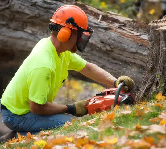 tree services Barnhart